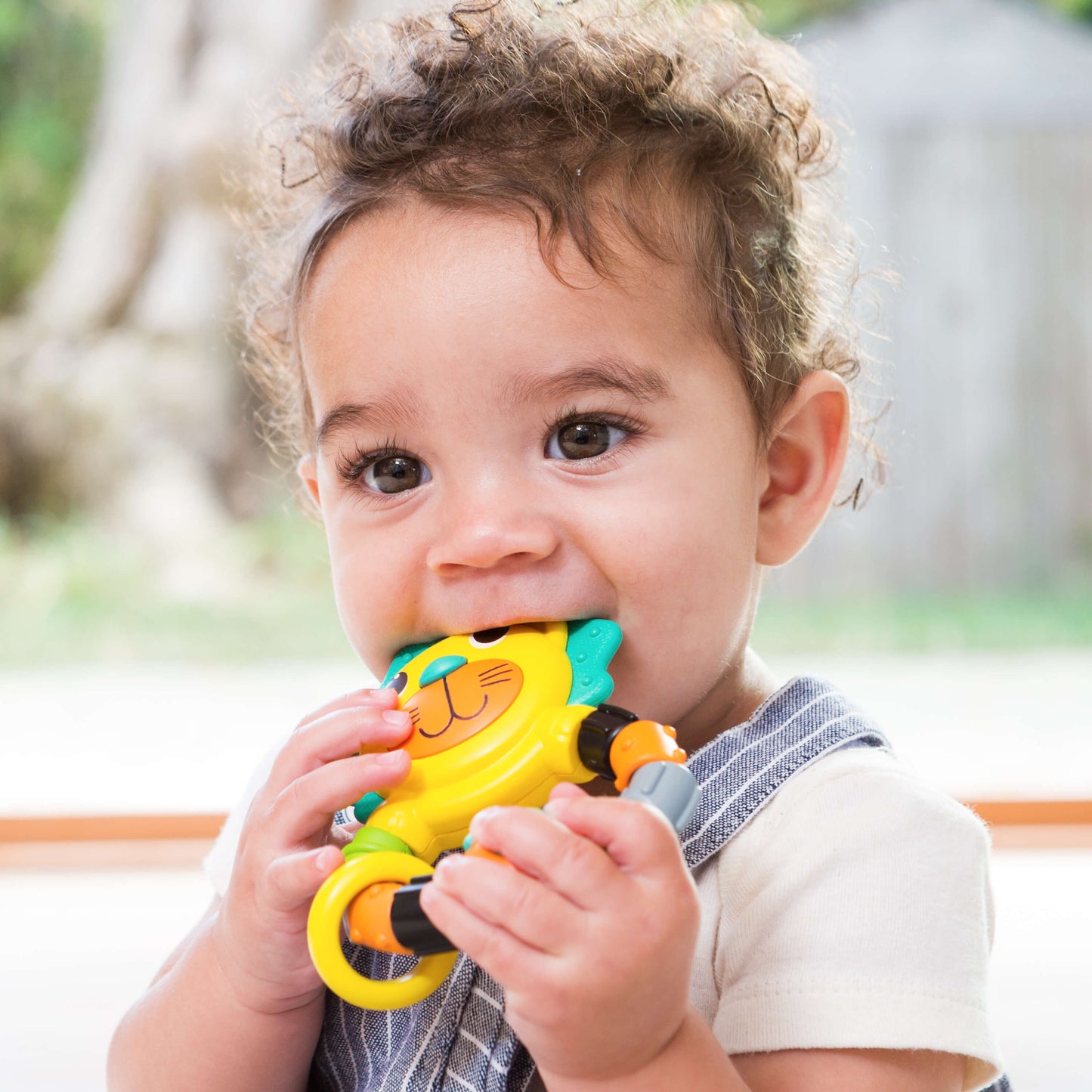 LION TEETHER™