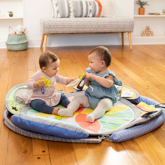 5-in-1 Epic Developmental Learning Gym