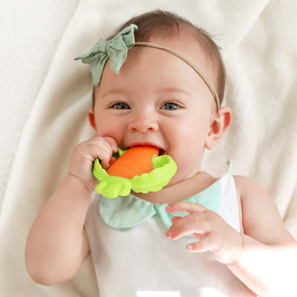 LIL' NIBBLES CARROT TEETHER™