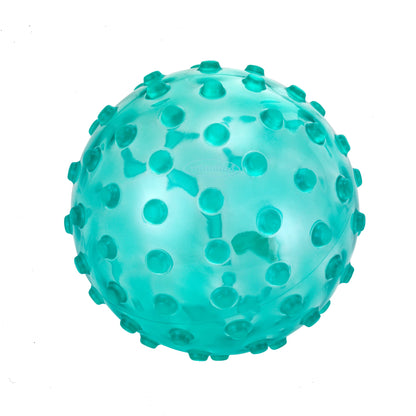 Sensory Ball