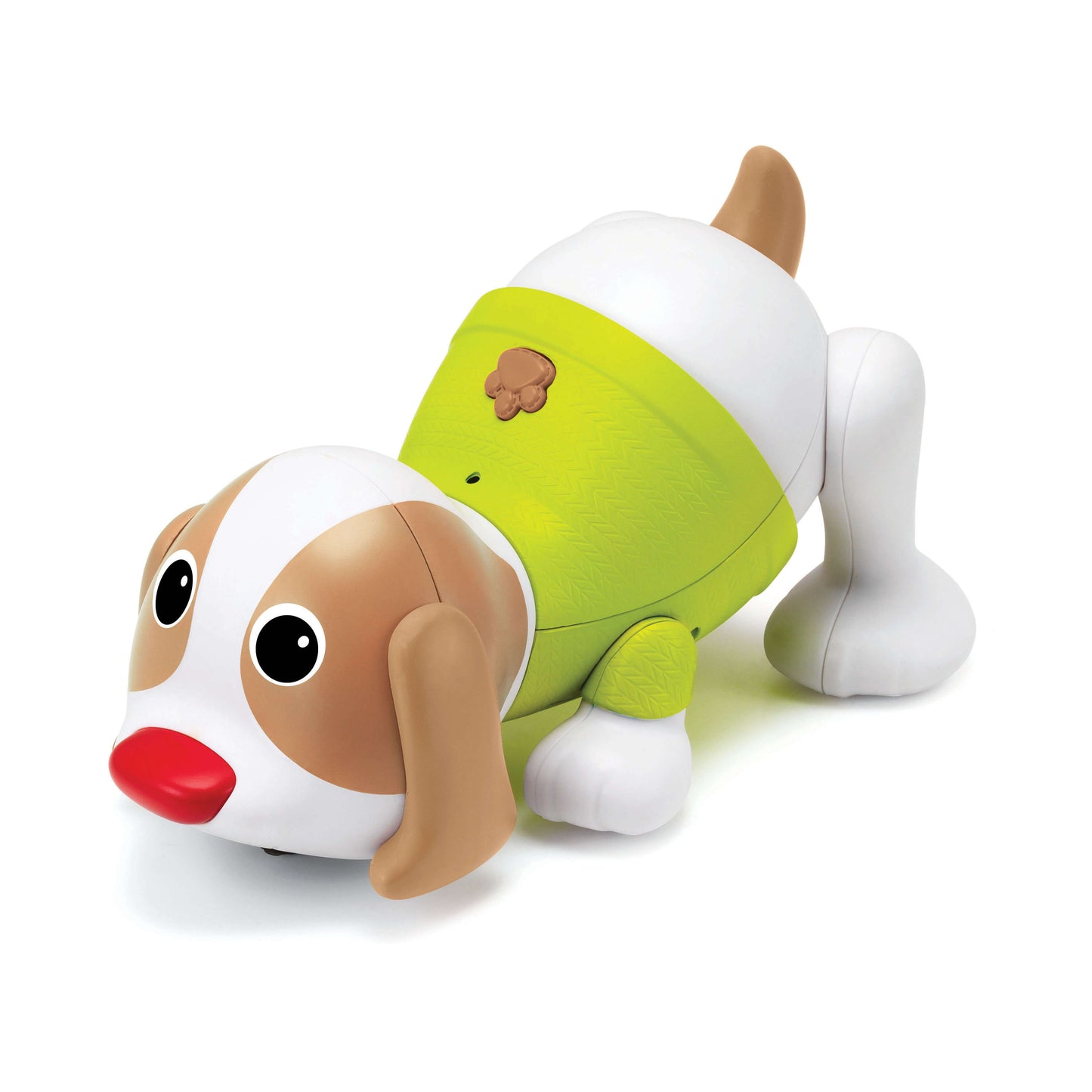 SHAKE'N DANCE PUPPY