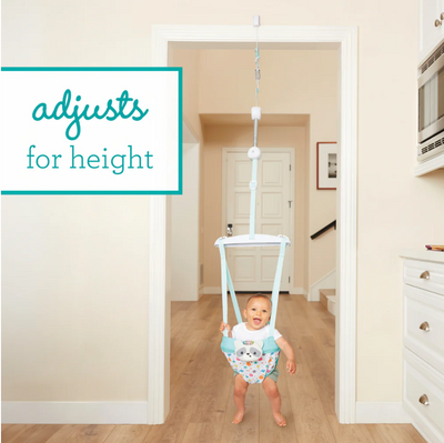 2 in 1 Music & Lights Doorway Jumper Raccoon