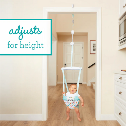 2 in 1 Music & Lights Doorway Jumper Raccoon